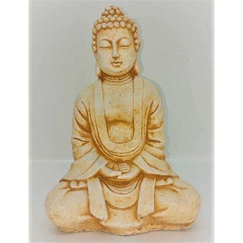 Buda Meditación Tierra